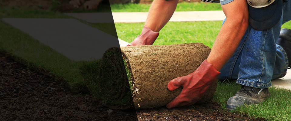 Murrysville Landscapers